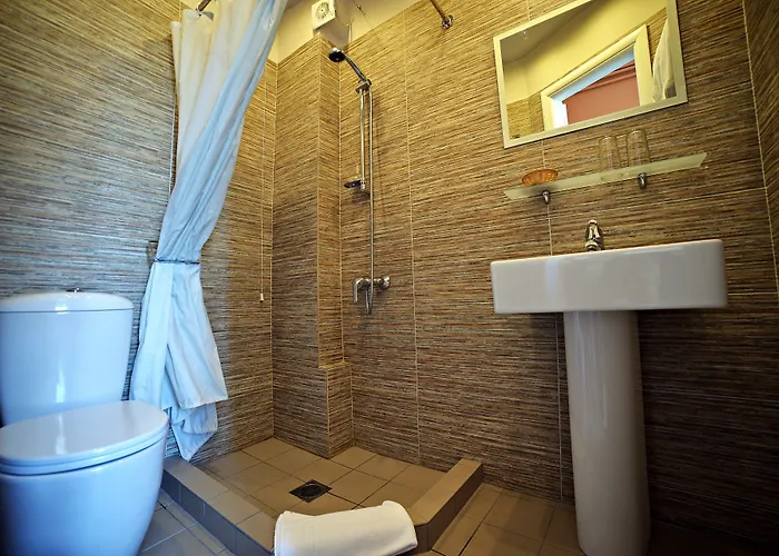 Hotel Orestias Kastorias 2*